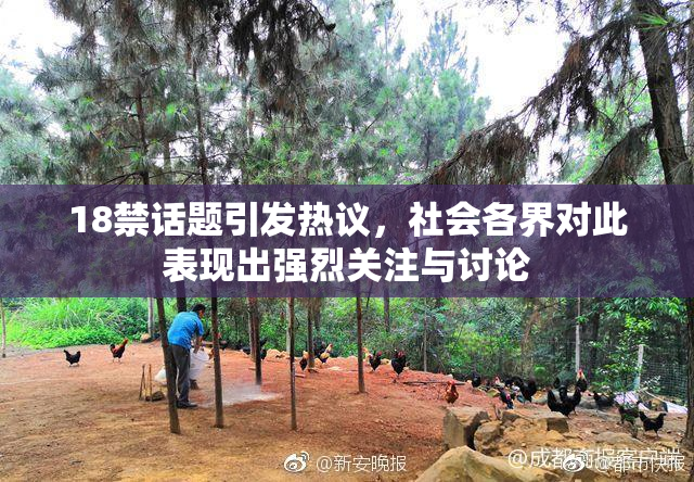 18禁话题引发热议，社会各界对此表现出强烈关注与讨论