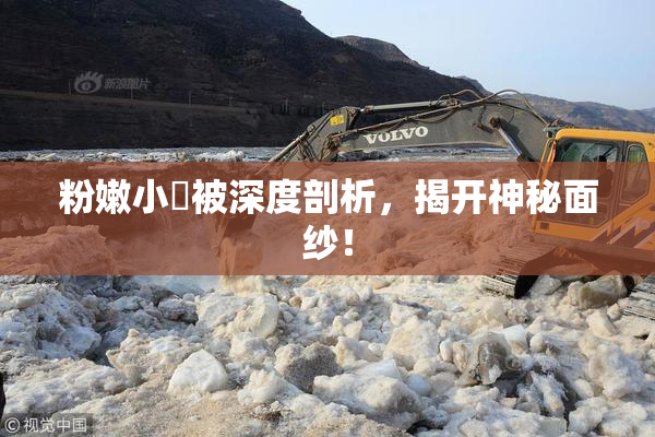 粉嫩小泬被深度剖析，揭开神秘面纱！