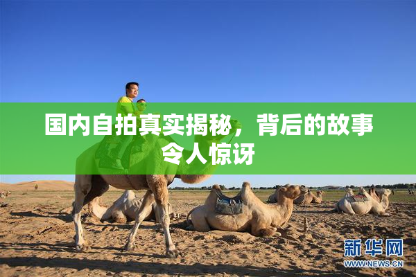 国内自拍真实揭秘，背后的故事令人惊讶