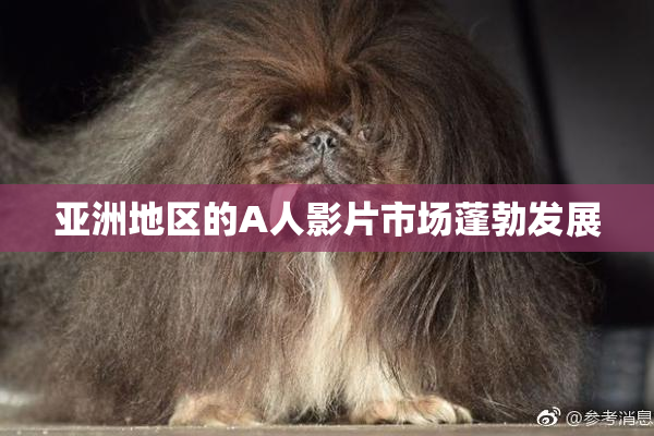 亚洲地区的A人影片市场蓬勃发展