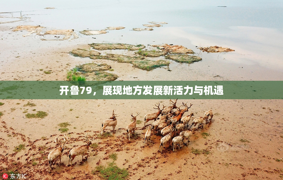开鲁79，展现地方发展新活力与机遇
