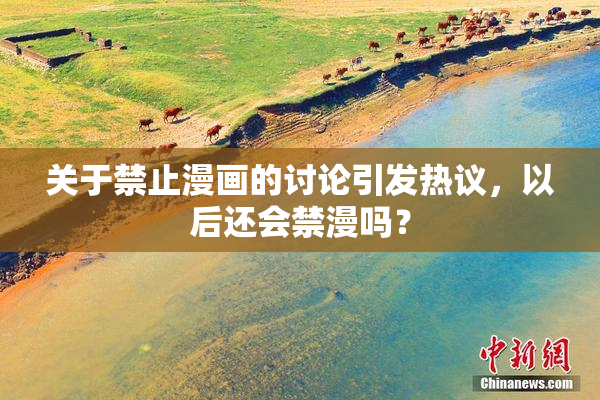 关于禁止漫画的讨论引发热议，以后还会禁漫吗？