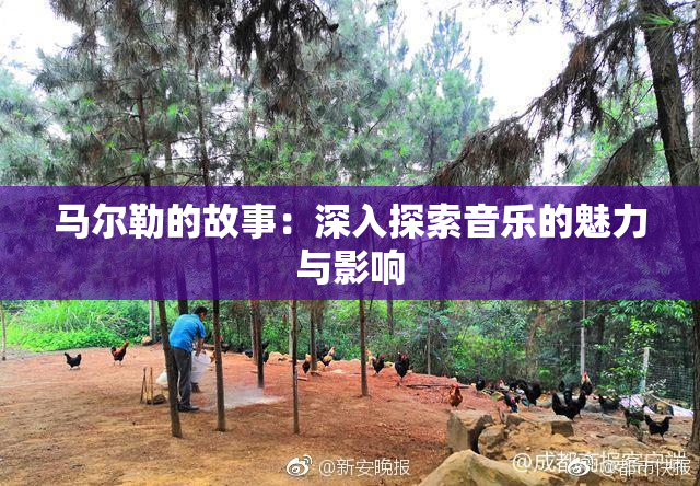 马尔勒的故事：深入探索音乐的魅力与影响
