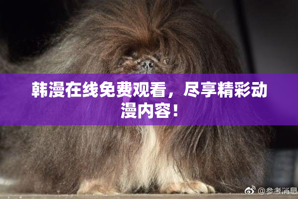 韩漫在线免费观看，尽享精彩动漫内容！