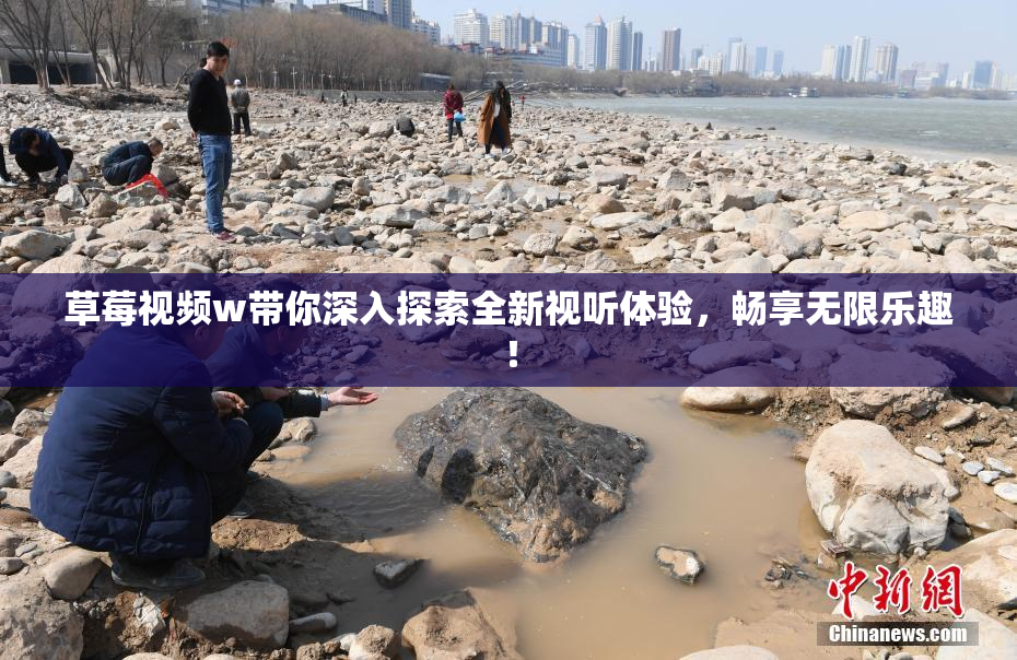 草莓视频w带你深入探索全新视听体验，畅享无限乐趣！