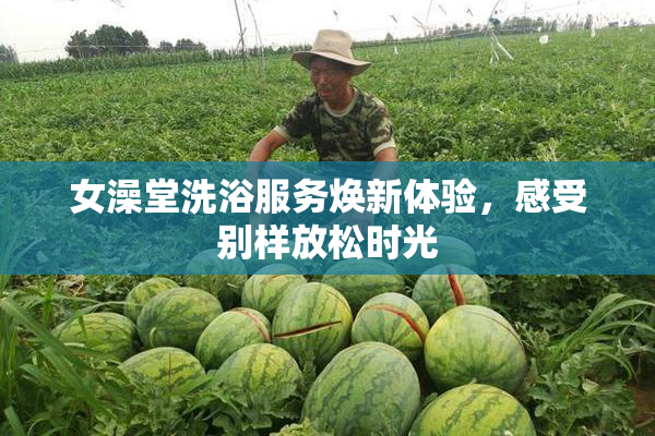 女澡堂洗浴服务焕新体验，感受别样放松时光