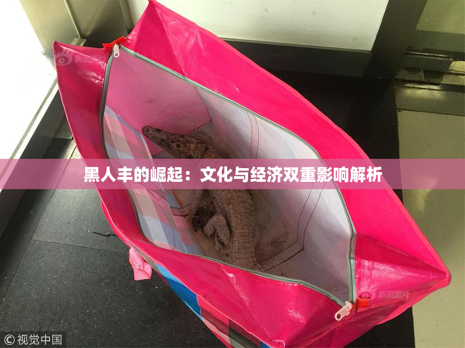 黑人丰的崛起：文化与经济双重影响解析