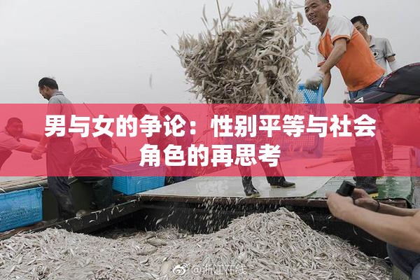 男与女的争论：性别平等与社会角色的再思考
