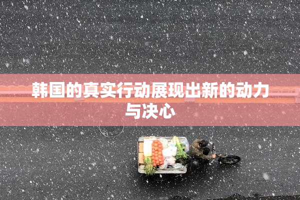 韩国的真实行动展现出新的动力与决心
