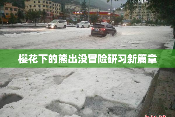 樱花下的熊出没冒险研习新篇章