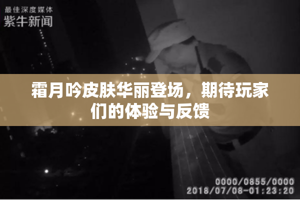 霜月吟皮肤华丽登场，期待玩家们的体验与反馈