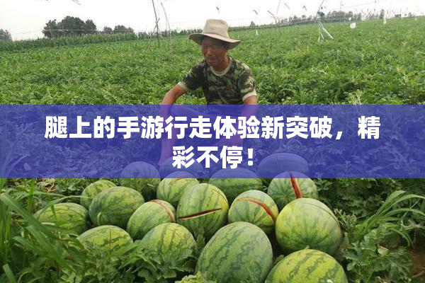 腿上的手游行走体验新突破，精彩不停！