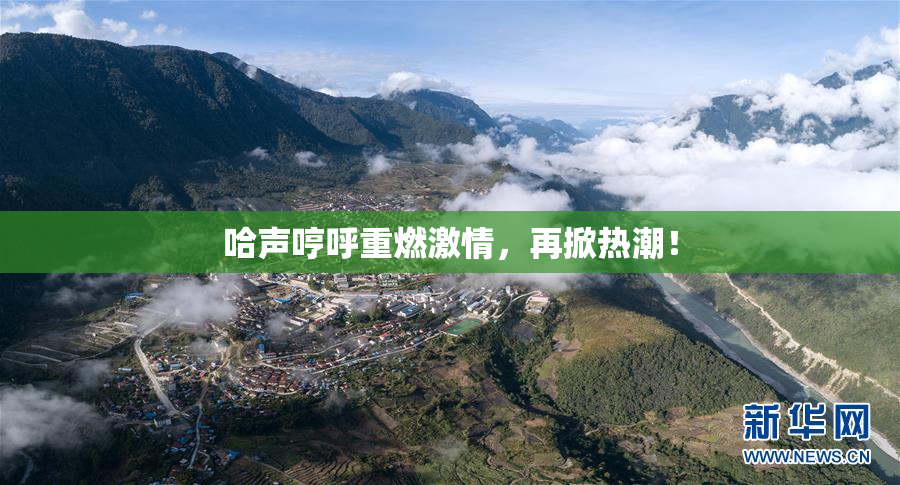 哈声哼呼重燃激情，再掀热潮！