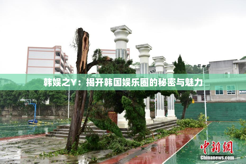 韩娱之Y：揭开韩国娱乐圈的秘密与魅力