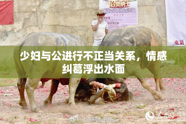 少妇与公进行不正当关系，情感纠葛浮出水面