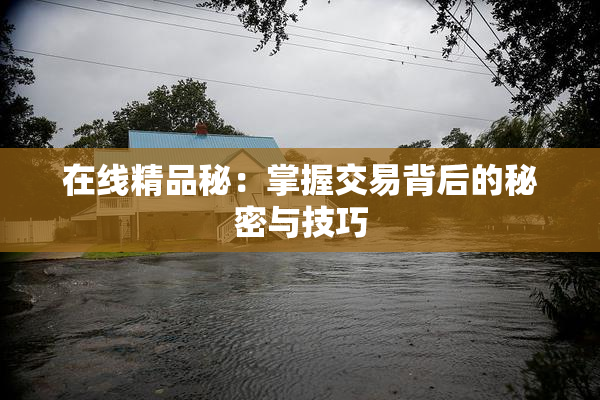 在线精品秘：掌握交易背后的秘密与技巧