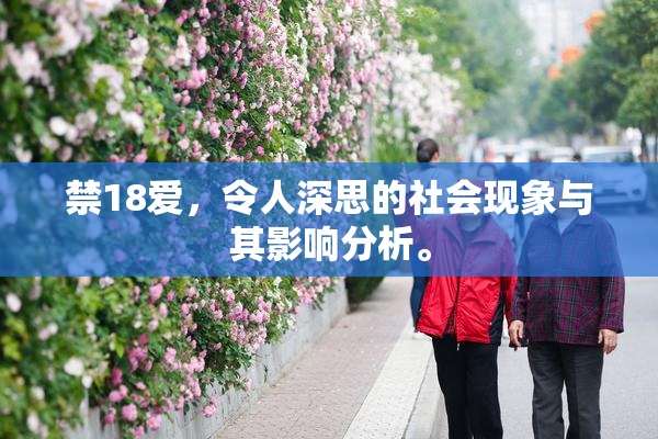 禁18爱，令人深思的社会现象与其影响分析。