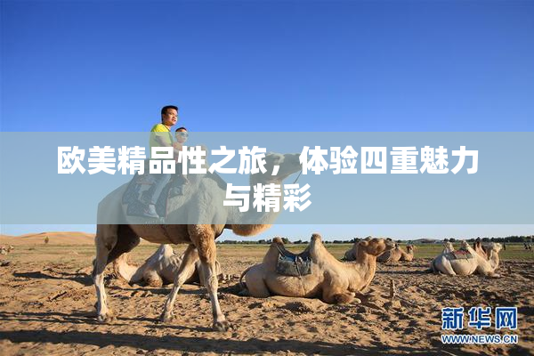 欧美精品性之旅，体验四重魅力与精彩