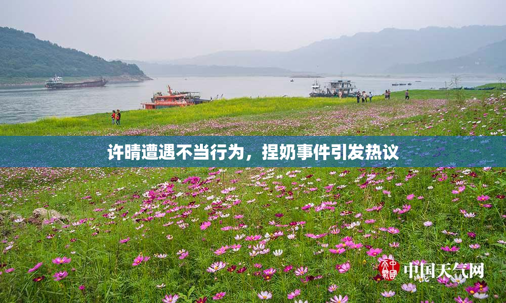 许晴遭遇不当行为，捏奶事件引发热议