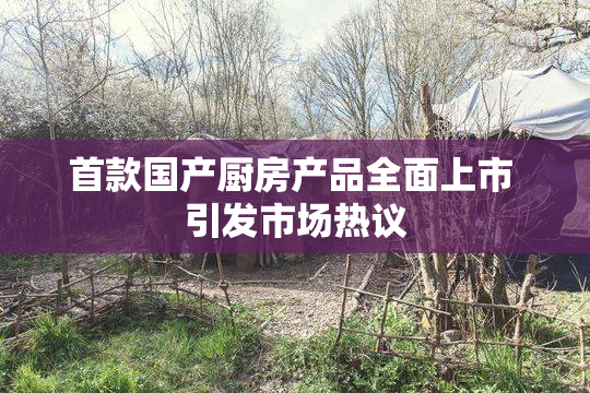 首款国产厨房产品全面上市 引发市场热议