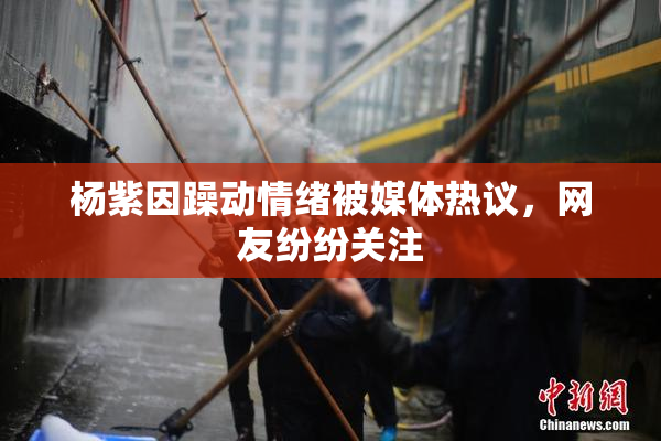 杨紫因躁动情绪被媒体热议，网友纷纷关注