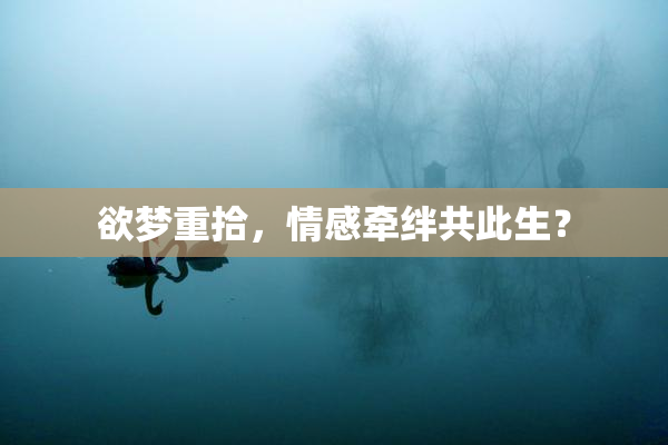 欲梦重拾，情感牵绊共此生？