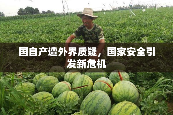 国自产遭外界质疑，国家安全引发新危机