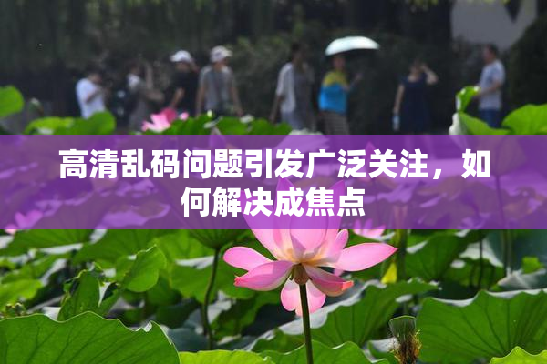 高清乱码问题引发广泛关注，如何解决成焦点