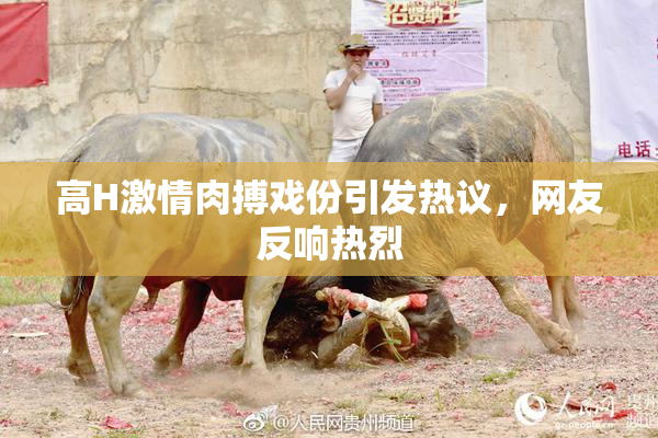 高H激情肉搏戏份引发热议，网友反响热烈
