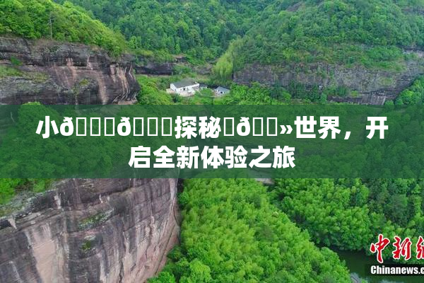 小🐔🐔探秘‌🐻世界，开启全新体验之旅