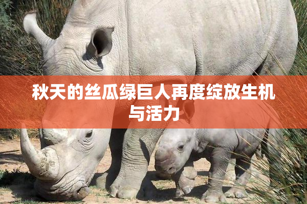 秋天的丝瓜绿巨人再度绽放生机与活力