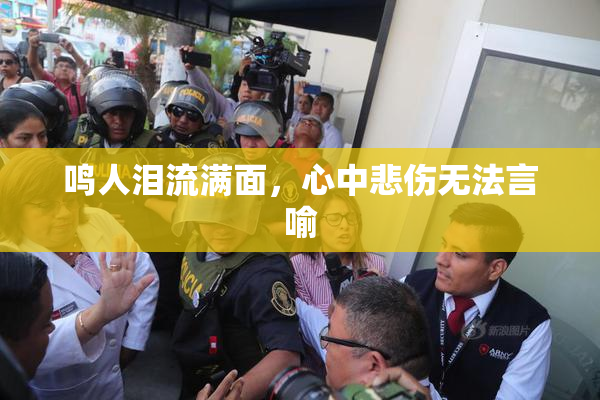 鸣人泪流满面，心中悲伤无法言喻