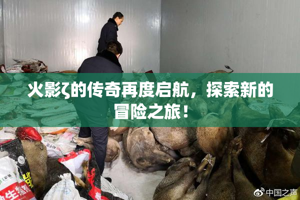 火影ζ的传奇再度启航，探索新的冒险之旅！