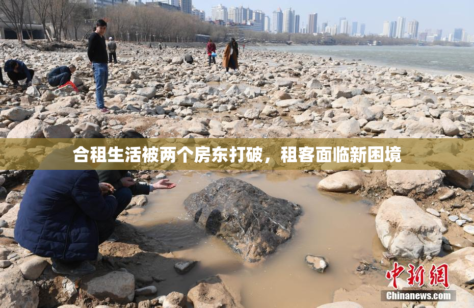 合租生活被两个房东打破，租客面临新困境