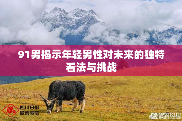 91男揭示年轻男性对未来的独特看法与挑战