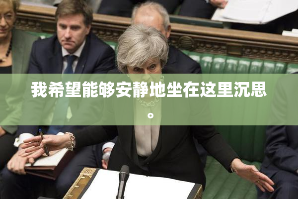 我希望能够安静地坐在这里沉思。