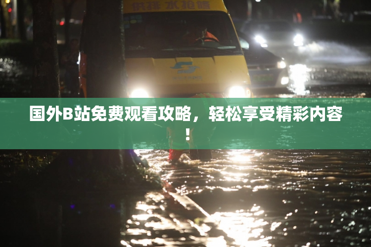 国外B站免费观看攻略，轻松享受精彩内容！