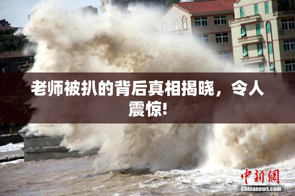 老师被扒的背后真相揭晓，令人震惊!