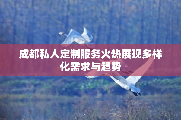 成都私人定制服务火热展现多样化需求与趋势