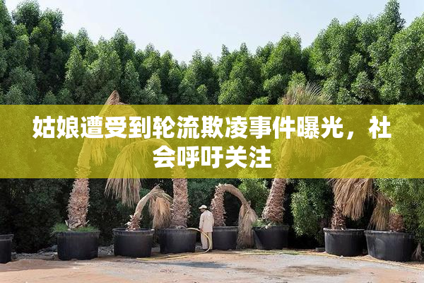 姑娘遭受到轮流欺凌事件曝光，社会呼吁关注