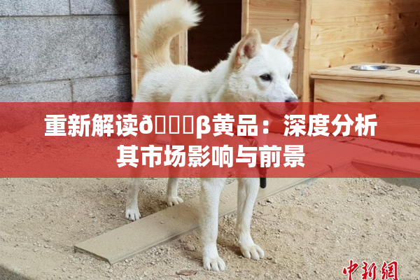 重新解读🔞β黄品：深度分析其市场影响与前景
