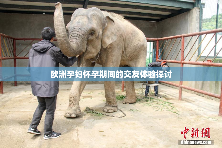 欧洲孕妇怀孕期间的交友体验探讨