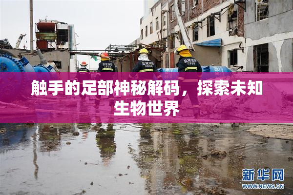 触手的足部神秘解码，探索未知生物世界