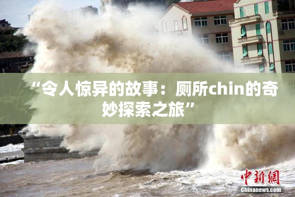 “令人惊异的故事：厕所chin的奇妙探索之旅”