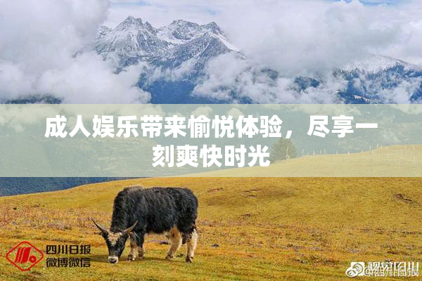成人娱乐带来愉悦体验，尽享一刻爽快时光