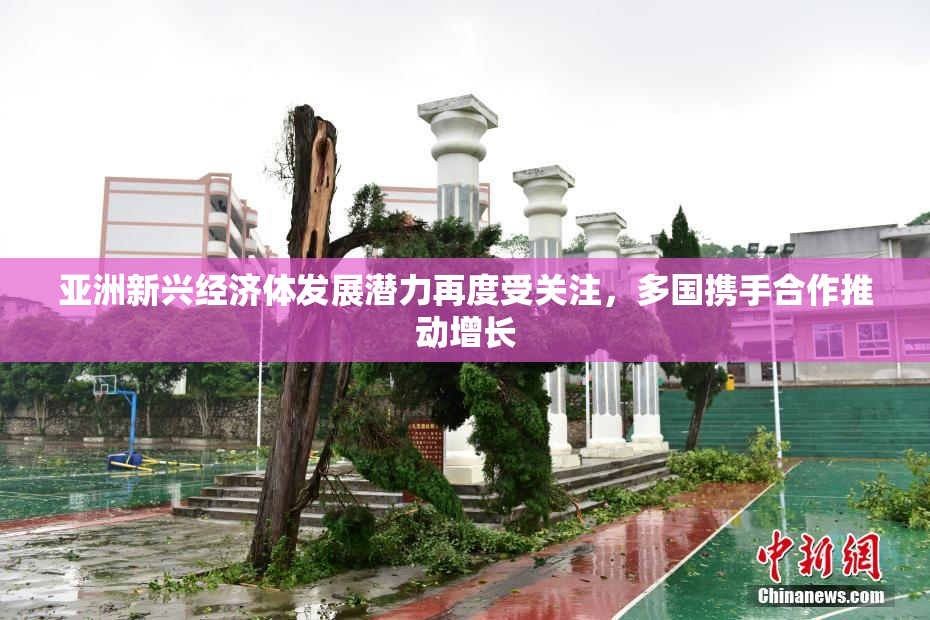 亚洲新兴经济体发展潜力再度受关注，多国携手合作推动增长