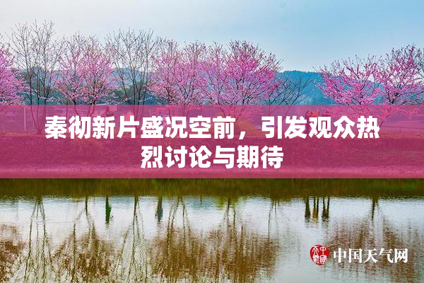 秦彻新片盛况空前，引发观众热烈讨论与期待