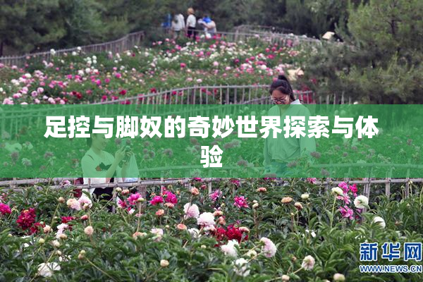 足控与脚奴的奇妙世界探索与体验