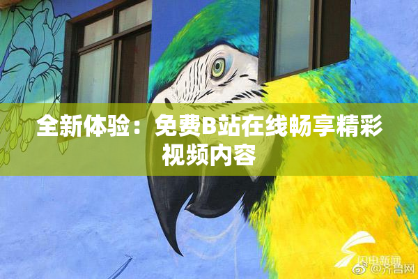 全新体验：免费B站在线畅享精彩视频内容