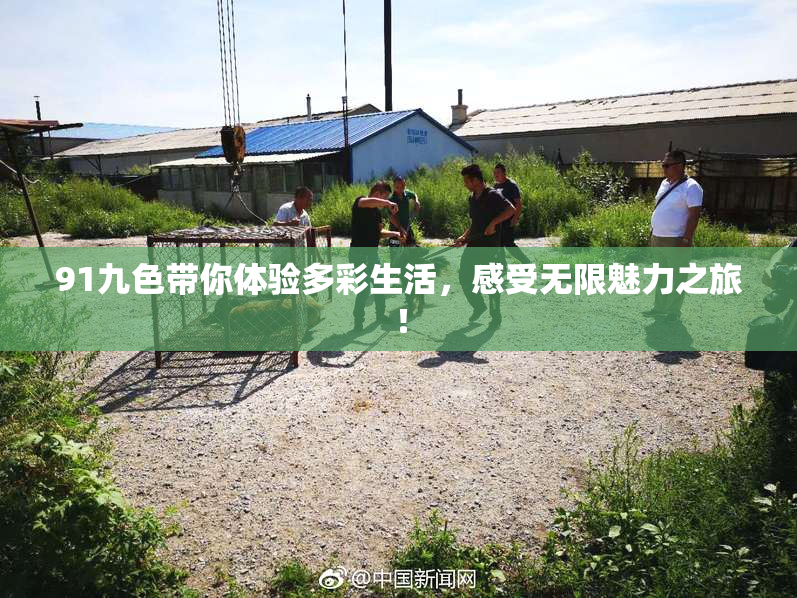 91九色带你体验多彩生活，感受无限魅力之旅！